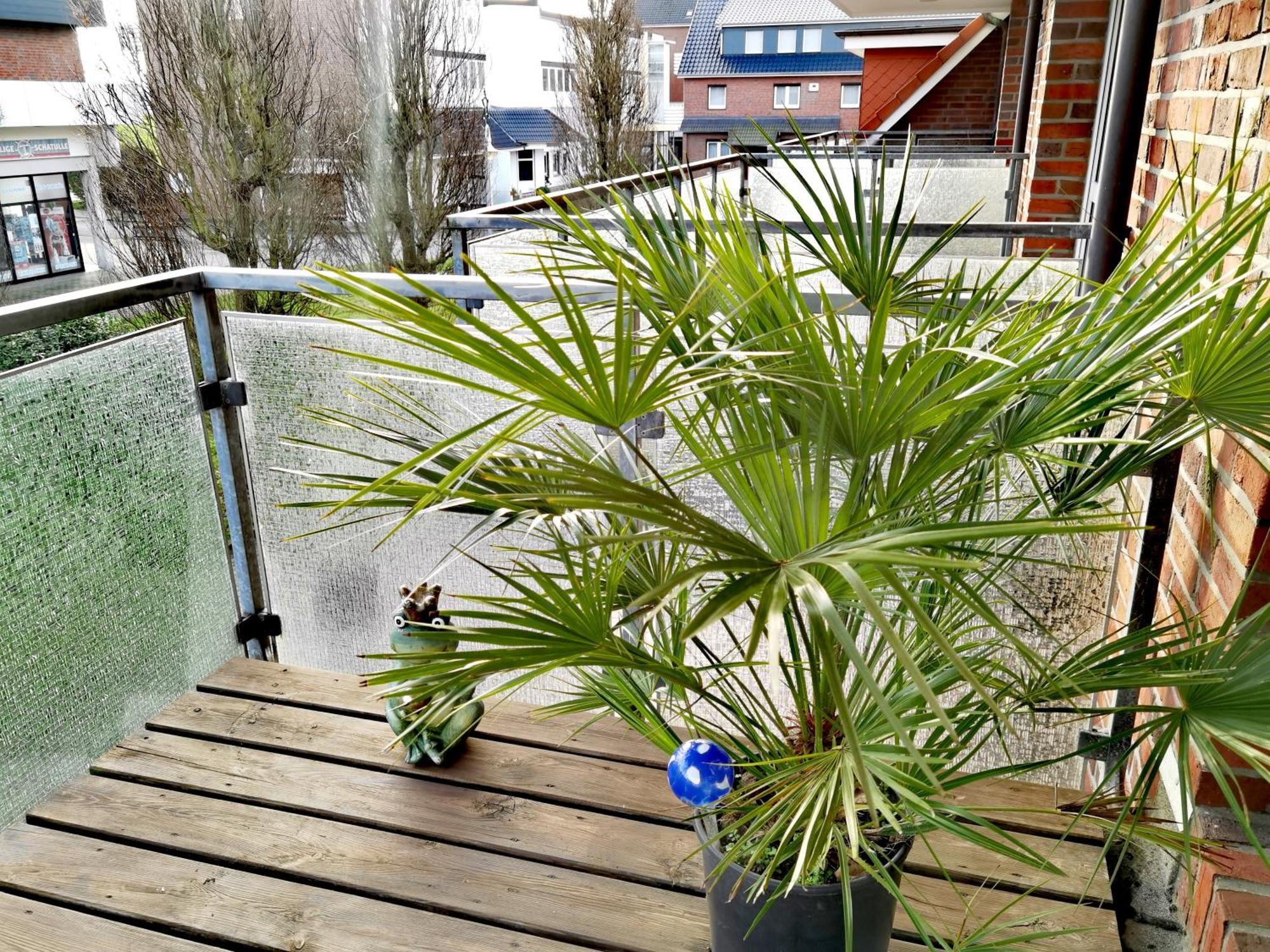 Schaake Schillig-Strandnahe Wohlfuehloase Mit Modernem Flair Und Kostenlosem Parken 外观 照片